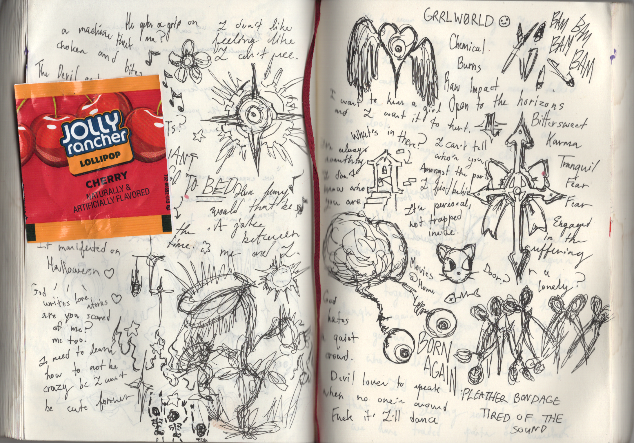 journal entry full of pen doodles